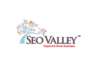SEO valley - SEO Company in Kerala