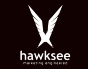 hawksee - SEO Company in Calicut