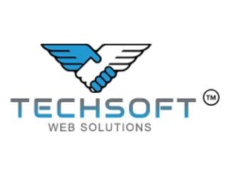 tech soft - web designing agency